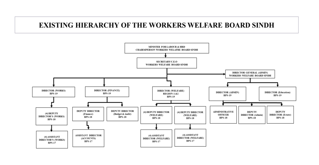 organogram